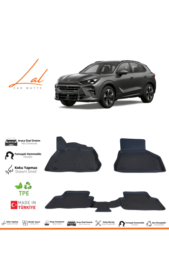 Cupra Terramar 3D Havuzlu Paspas 2024+ - 0